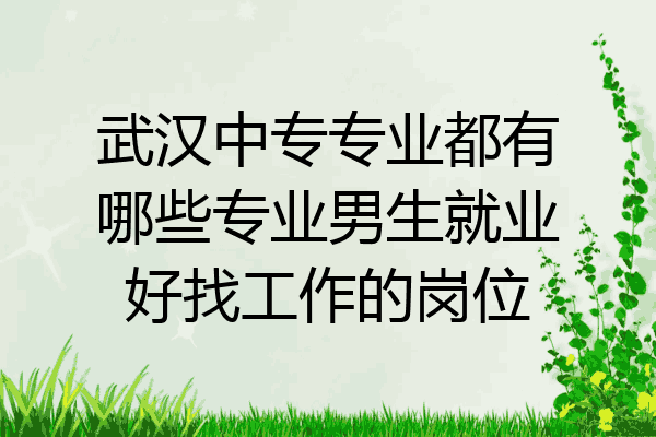 武汉中专专业都有哪些专业男生就业好找工作的岗位