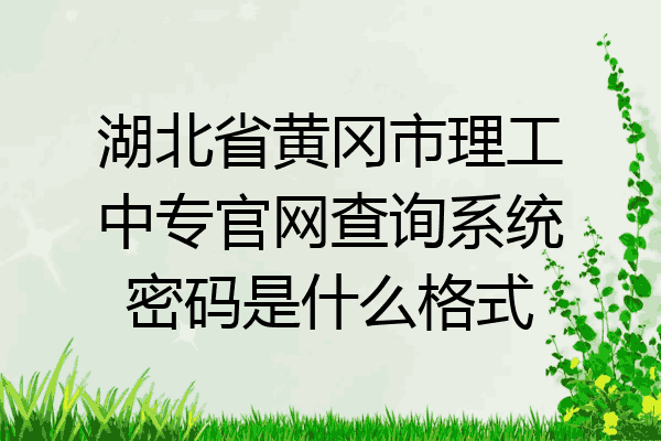 湖北省黄冈市理工中专官网查询系统密码是什么格式
