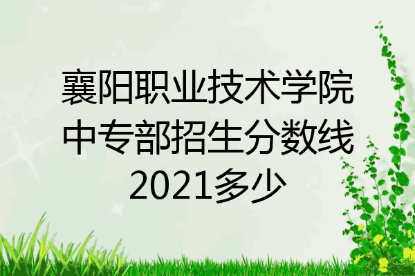 襄阳职业技术学院中专部招生分数线2021多少