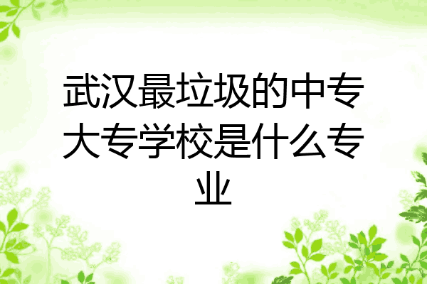 武汉最垃圾的中专大专学校是什么专业