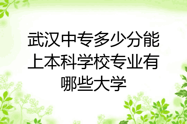 武汉中专多少分能上本科学校专业有哪些大学