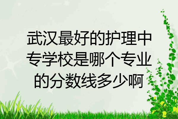 武汉最好的护理中专学校是哪个专业的分数线多少啊