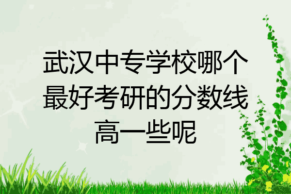 武汉中专学校哪个最好考研的分数线高一些呢