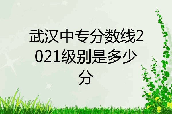 武汉中专分数线2021级别是多少分