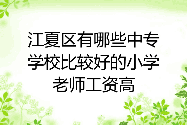 江夏区有哪些中专学校比较好的小学老师工资高