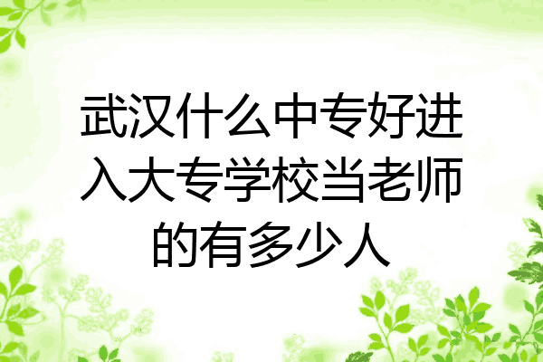 武汉什么中专好进入大专学校当老师的有多少人