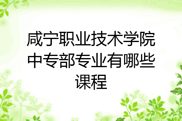 咸宁职业技术学院中专部专业有哪些课程