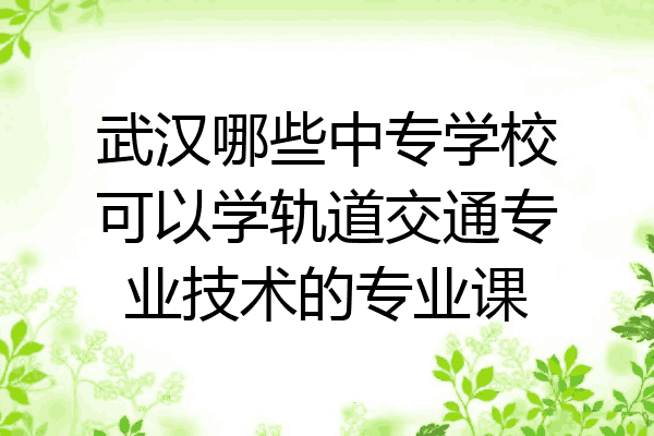 武汉哪些中专学校可以学轨道交通专业技术的专业课