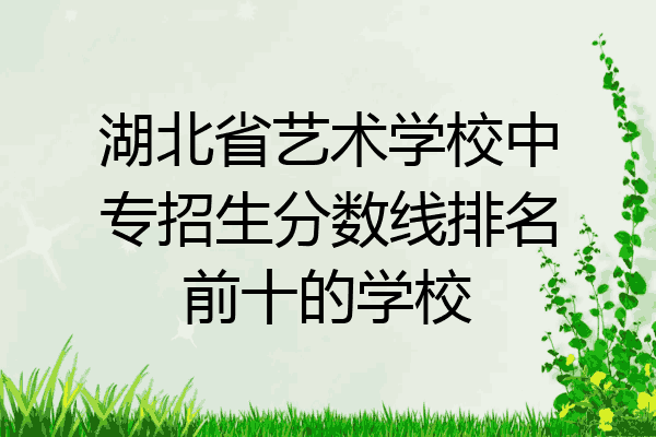 湖北省艺术学校中专招生分数线排名前十的学校
