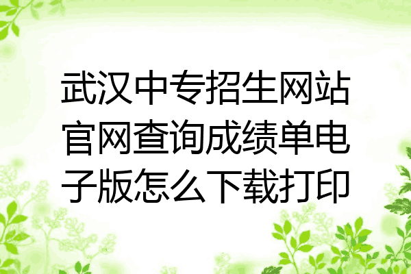 武汉中专招生网站官网查询成绩单电子版怎么下载打印