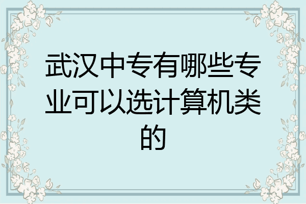 武汉中专有哪些专业可以选计算机类的