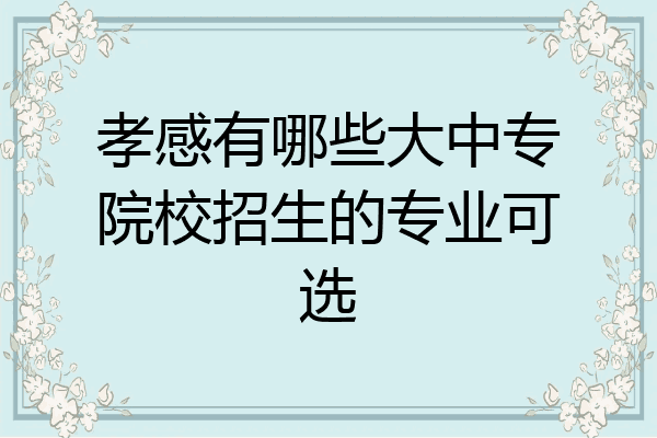 孝感有哪些大中专院校招生的专业可选