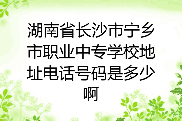 湖南省长沙市宁乡市职业中专学校地址电话号码是多少啊