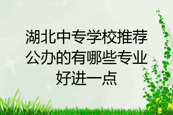 湖北中专学校推荐公办的有哪些专业好进一点