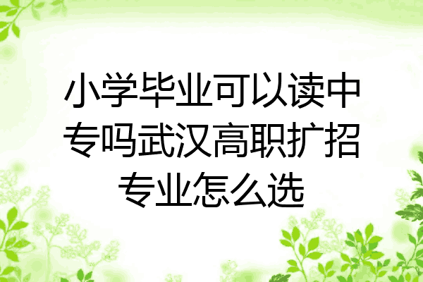 小学毕业可以读中专吗武汉高职扩招专业怎么选
