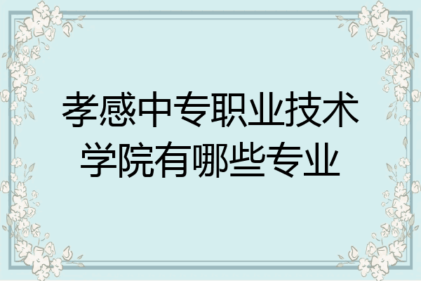 孝感中专职业技术学院有哪些专业