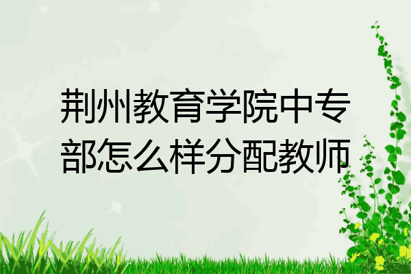 荆州教育学院中专部怎么样分配教师