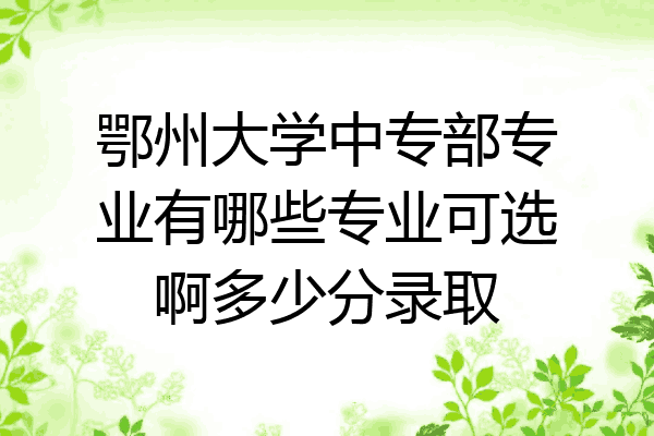 鄂州大学中专部专业有哪些专业可选啊多少分录取