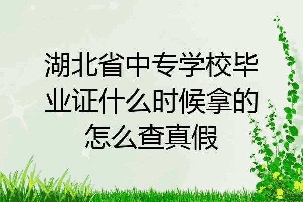 湖北省中专学校毕业证什么时候拿的怎么查真假