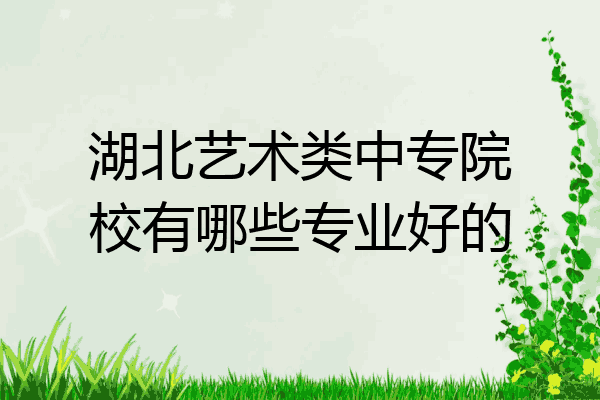 湖北艺术类中专院校有哪些专业好的