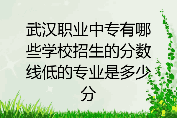 武汉职业中专有哪些学校招生的分数线低的专业是多少分