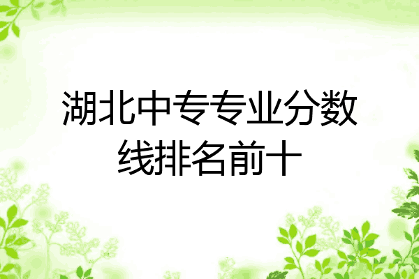 湖北中专专业分数线排名前十