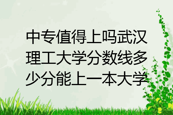中专值得上吗武汉理工大学分数线多少分能上一本大学