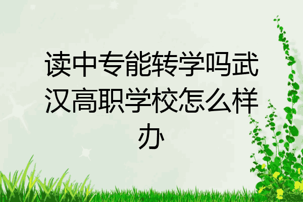 读中专能转学吗武汉高职学校怎么样办