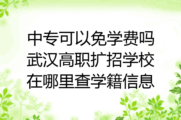 中专可以免学费吗武汉高职扩招学校在哪里查学籍信息