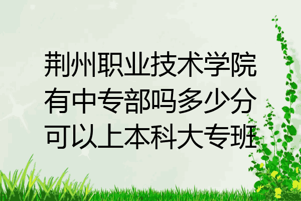 荆州职业技术学院有中专部吗多少分可以上本科大专班