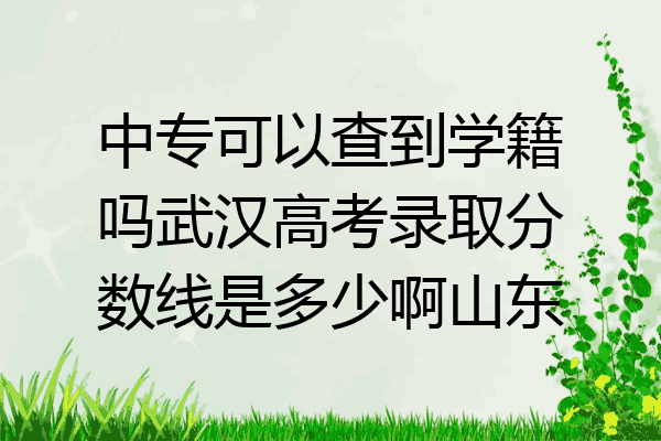 中专可以查到学籍吗武汉高考录取分数线是多少啊山东