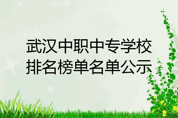 武汉中职中专学校排名榜单名单公示