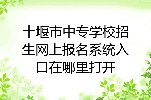 十堰市中专学校招生网上报名系统入口在哪里打开