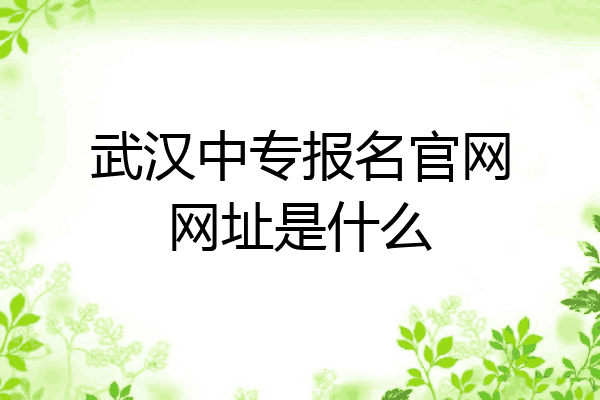 武汉中专报名官网网址是什么