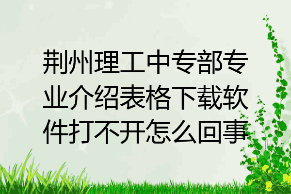 荆州理工中专部专业介绍表格下载软件打不开怎么回事