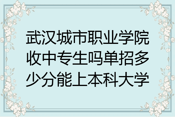 武汉城市职业学院收中专生吗单招多少分能上本科大学