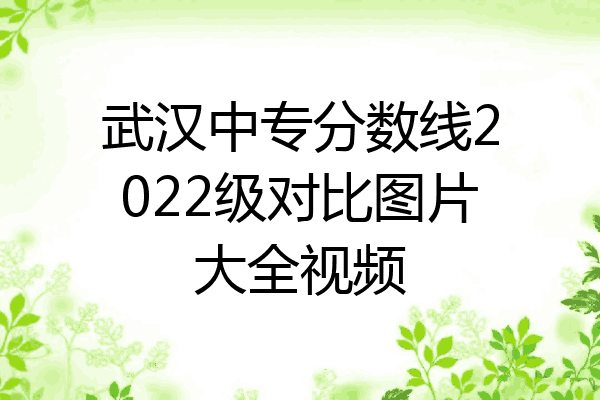 武汉中专分数线2022级对比图片大全视频
