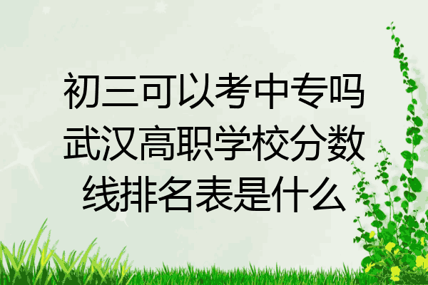 初三可以考中专吗武汉高职学校分数线排名表是什么