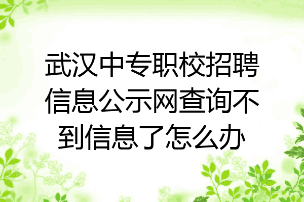 武汉中专职校招聘信息公示网查询不到信息了怎么办