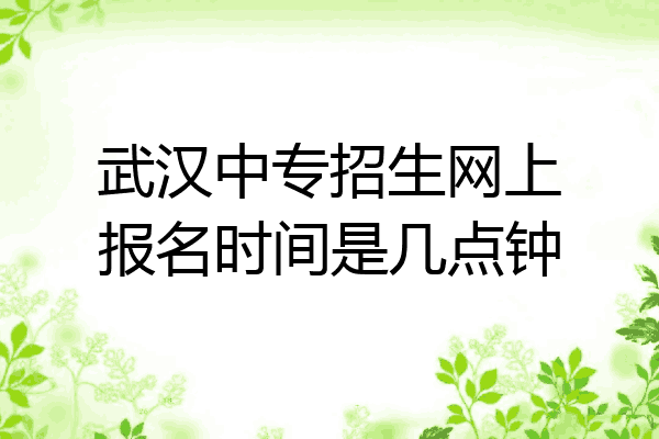 武汉中专招生网上报名时间是几点钟