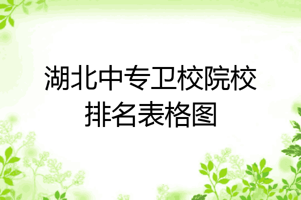 湖北中专卫校院校排名表格图