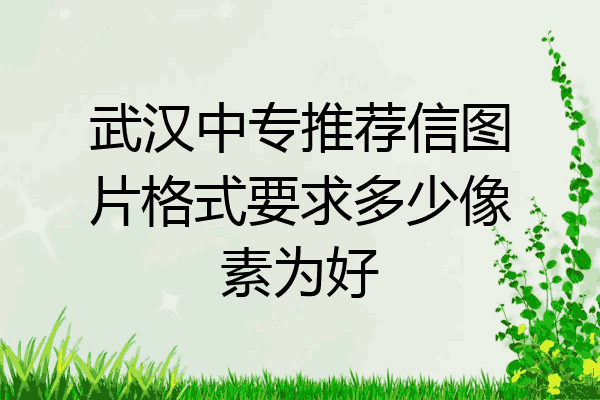 武汉中专推荐信图片格式要求多少像素为好