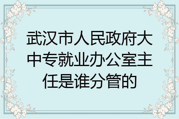 武汉市人民政府大中专就业办公室主任是谁分管的