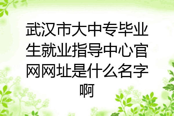 武汉市大中专毕业生就业指导中心官网网址是什么名字啊
