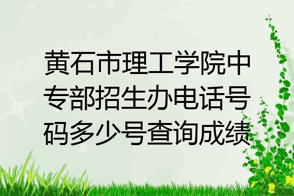 黄石市理工学院中专部招生办电话号码多少号查询成绩