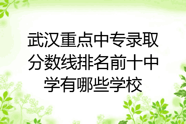 武汉重点中专录取分数线排名前十中学有哪些学校