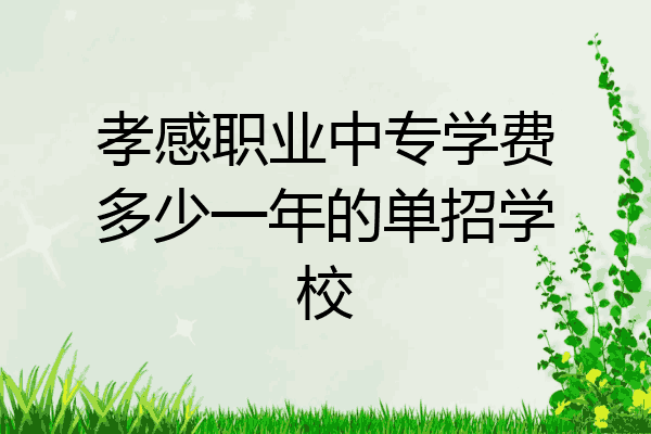 孝感职业中专学费多少一年的单招学校