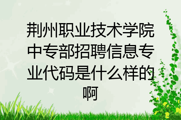 荆州职业技术学院中专部招聘信息专业代码是什么样的啊