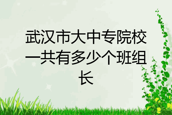 武汉市大中专院校一共有多少个班组长