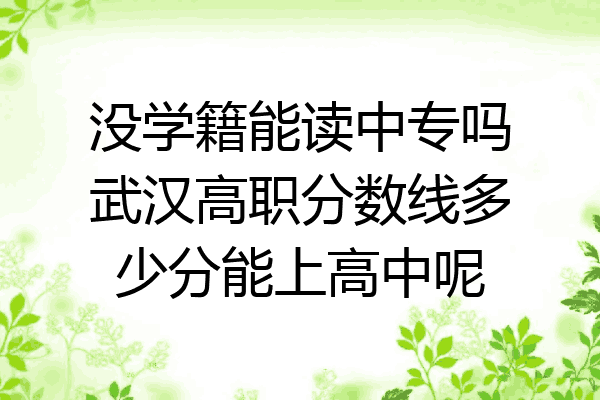 没学籍能读中专吗武汉高职分数线多少分能上高中呢
